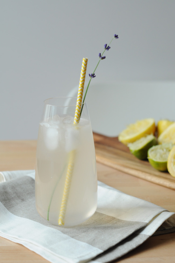 lavanda3