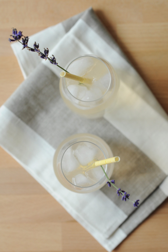 lavanda4