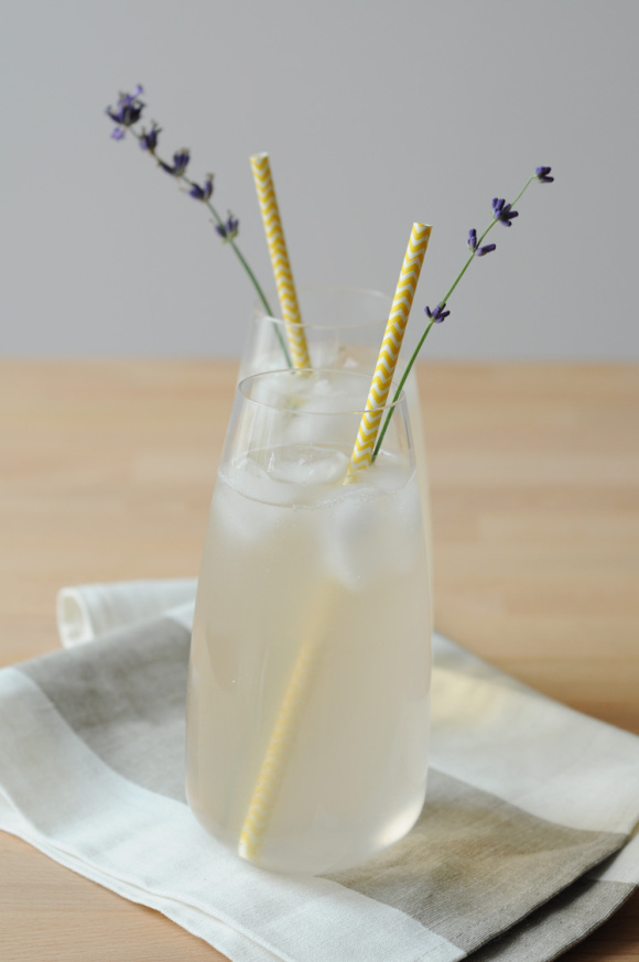 lavanda5